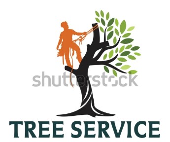 Melbourne Digital Tree Services